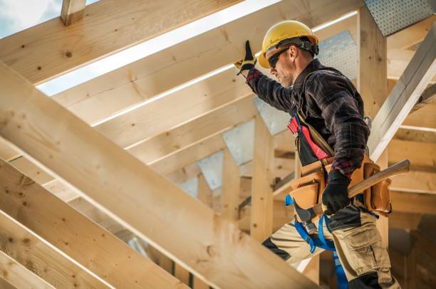 Best Roof Gutter Cleaning  in Tanaina, AK