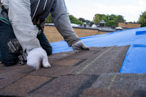 Best Slate Roofing Contractor  in Tanaina, AK