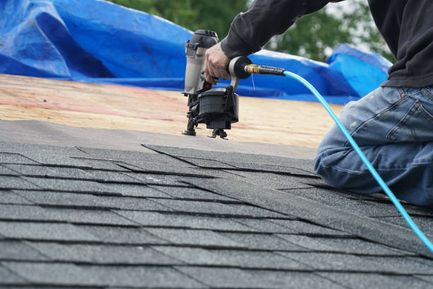 Best New Roof Installation  in Tanaina, AK