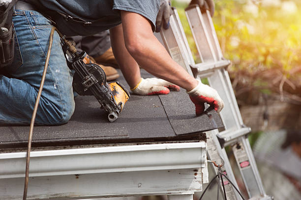 Best Roof Leak Repair  in Tanaina, AK