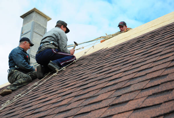 Best Local Roofing Companies  in Tanaina, AK