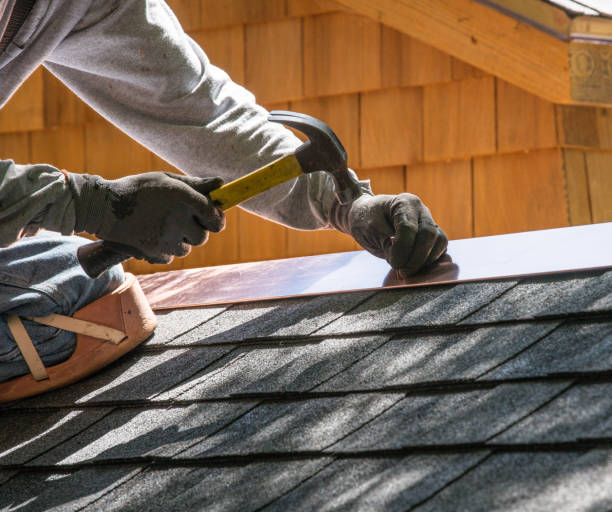 Best Roof Maintenance Services  in Tanaina, AK